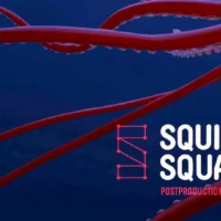 Image de Squid Squad (décoratif)