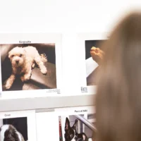 Des gens sont venus participer à l'expo sur les animaux domestiques à la bibliothèque