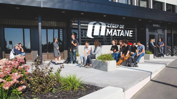 Image d'étudiants profitant du soleil devant l'entrée principale