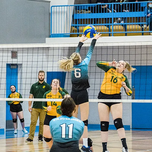 Équipe de volleyball féminin en plein match