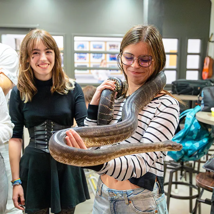 Une étudiante tient un python enroulé sur les épaules lors d'une activité de présentation d'animaux effrayants à l'occasion de l'Halloween. On voit d'autres étudiantes et étudiants autour d'elle, le sourire aux lèvres et le regard intrigué par le reptile.