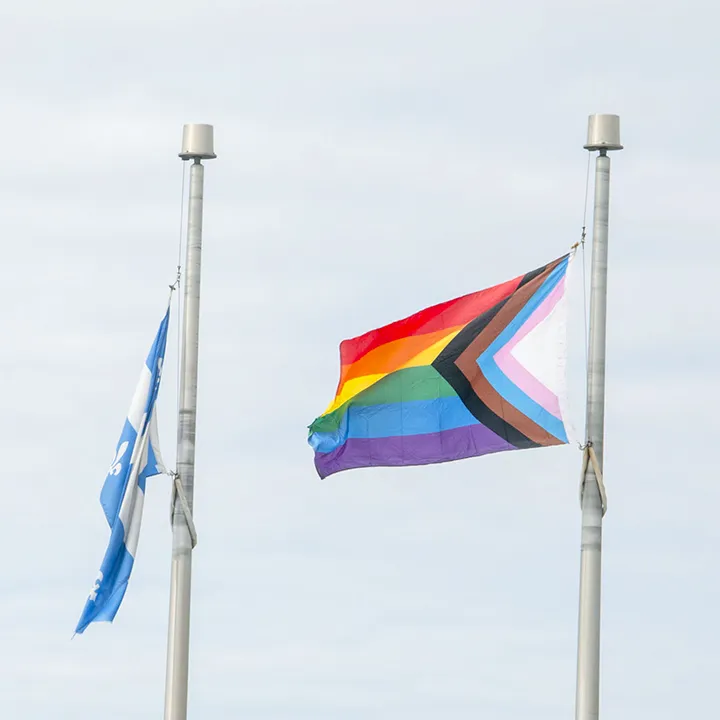 À côté du drapeau du Québec, sur les deux hampes situées à l'entrée du Cégep de Matane, on voit déployé le drapeau de l'inclusion, pour marquer le soutien de l'établissement à la diversité.